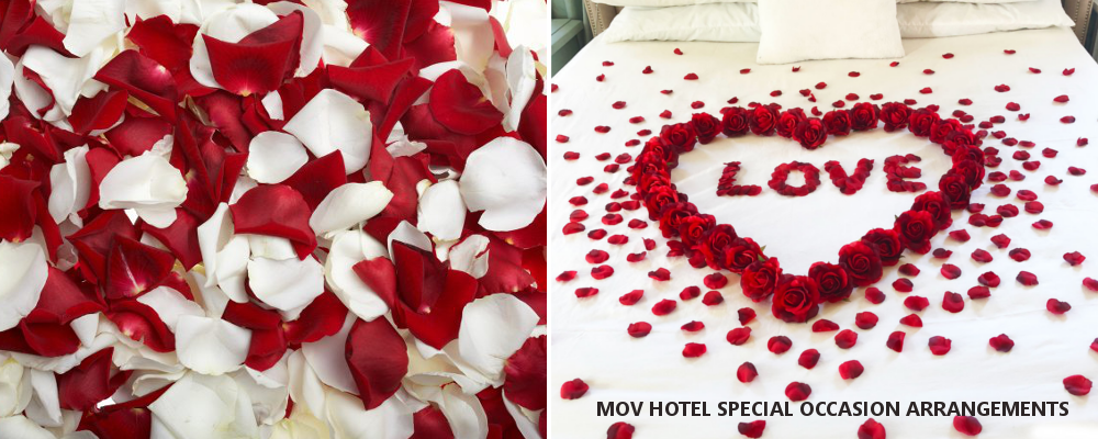 MOV Special Arrangments